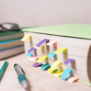 Hablemos de las materias de estudios en inglés