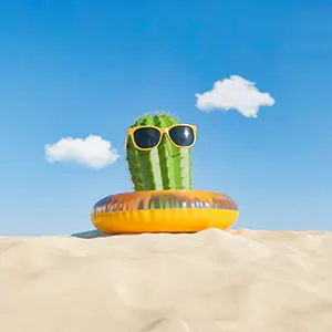 ¡LLEGÓ EL VERANO! ¿Preparados para aprender inglés?