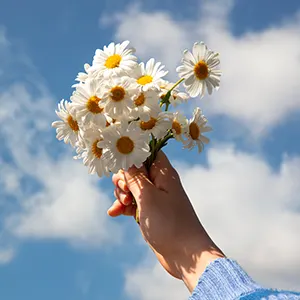 Una flor más bonita que la otra aprendiéndolo en inglés